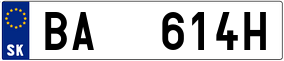 Truck License Plate